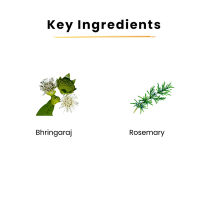 Rosemary Essential Oil | 20ml