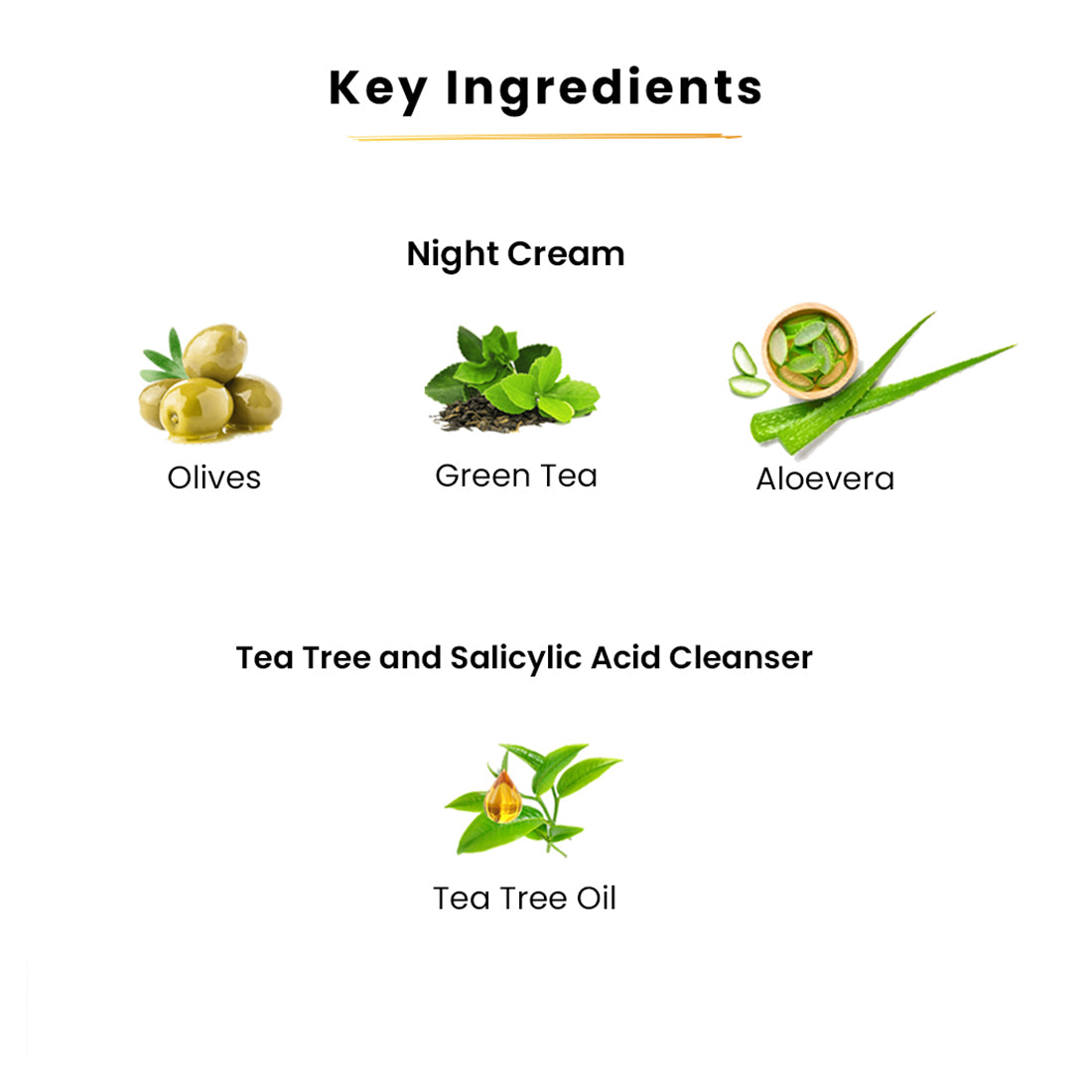 Niacinamide Night Cream-45gms And Tea Tree & Salicylic Acid Face wash-100ml