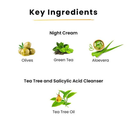 Niacinamide Night Cream-50gms And Tea Tree & Salicylic Acid Cleanser-100ml