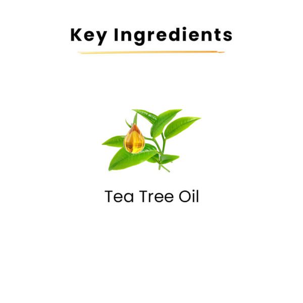 Tru Hair & Skin Tea Tree Cleanser For Sensitive Acne-Prone Skin | Contains Salicylic Acid & Citric Acid | 100ML