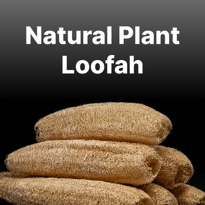 TRU HAIR & SKIN RebelX 4-in-1 Ice Blast Scrub | Natural loofah | Bathing Bar for Men | Handmade soap - 100gm | Pack of 2